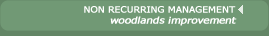 NON RECURRING MANAGEMENT, ECOLOGICAL IMPROVEMENT OF WOODLANDS