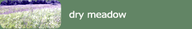 dry meadow