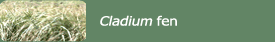 Cladium fen
