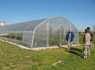 (4) greenhouse - Blason �