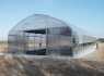 (3) greenhouse - Blason �